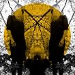 Austra - Live in Concert