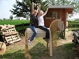 Holzpferd