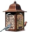 Birdscapes&reg; 367 Tulip Garden Latern Feeder, 5 lb capacity