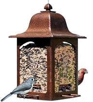Birdscapes&reg; 367 Tulip Garden Latern Feeder, 5 lb capacity