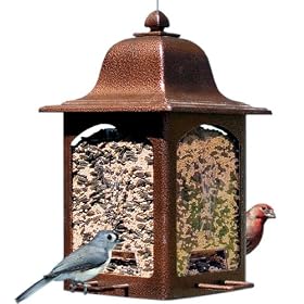Birdscapes® 367 Tulip Garden Latern Feeder, 5 lb capacity