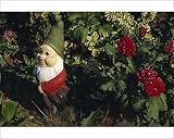 Photographic Prints of Close-up of a garden gnome outdoors beside a red dahlia in flower from Robert Harding Photographic Prints of Close-up of a garden gnome outdoors beside a red dahlia in flower from Robert Harding