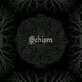 Tool Schism Single