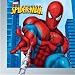 Spiderman  Party Pack Large (69 party items - plates, cups, napkins, tablecover, loot bags, blowouts, masks, latex balloons)