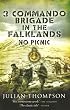 3 Commando Brigade in the Falklands: No Picnic