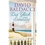 Das Gl�ck eines Sommers: Roman von David Baldacci