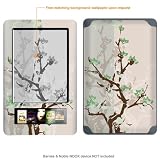 Protective Decal Skin Sticker for Barnes & Noble NOOK case cover Nook-411