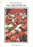 A concise practical guide to growing pelargoniums
