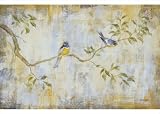 Les Oiseaux (Birds) by Francois Fressinier poster print,35 in. x 25 in.