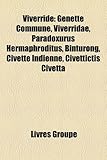 Viverrid: Genette Commune, Viverridae, Paradoxurus Hermaphroditus, Binturong, Civette Indienne, Civettictis Civetta-