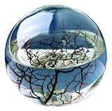 Produkt-Bild: Original ECOSPHERE Kugel 10cm