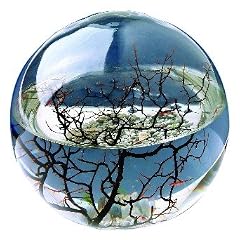 Ecosphere Kugel 10 cm mit LED Beleuchtung