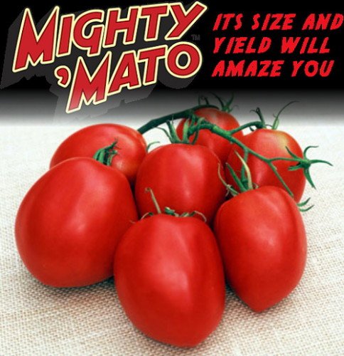 Mighty 'Mato Grafted Amish Paste Tomato Plant - Easy to Grow/More Fruit