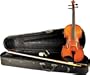 Doreli Model 59 Violin Outfit 1/2