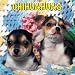 chihuahua24 - Chihuahuas 2010 Wall Calendar