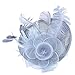 AM CLOTHES Womens Feather and Mesh Fascinator Headwear