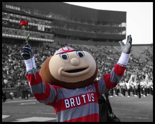 Ohio State Buckeyes - Brutus - Celebration - Rose Bowl - Wood Mounted Poster Print