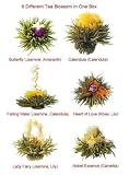 Teaposy Medley Tea- Box of 6
