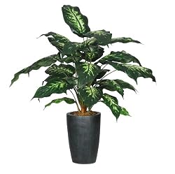 Artificial 2.5' Dieffenbachia in Round Green Fiberglass Vase