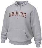 Florida State Seminoles NCAA Grey Embroidered Hooded Sweatshirt By Nike Team Sports