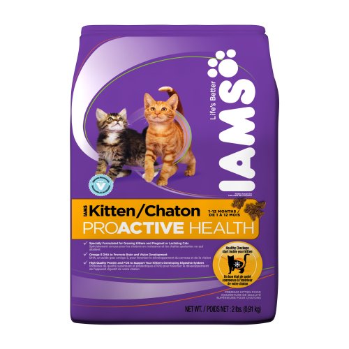 Best Dry Cat Food Reviews IAMS Kitten Proactive Health Dry Cat Food