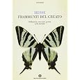 Dettagli prodotto