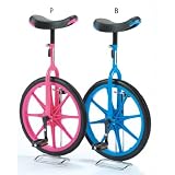 エバニュー(Evernew) 一輪車(ノーパンク) 20 KD138