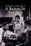 A Raisin In The Sun
