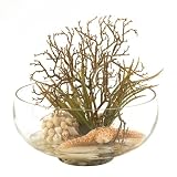 51EueKsGB%2BL. SL160  Coral Spray Arrangement in Glass Bowl Reviews