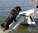 Super Skamper Ramp Pool Pet Ramp - Pets up to 200 lbs.