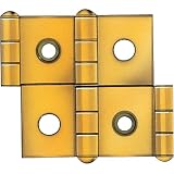Double Action Hinges for 3/4'' stock; 1-3/4'' length
