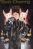 Don Cherry's Rock em' Sock em' Hockey - Volume 15 by 
