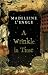 A Wrinkle in Time