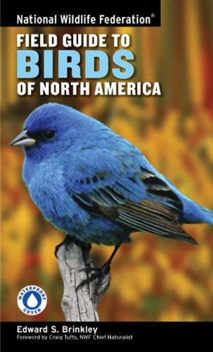 North America