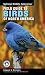 National Wildlife Federation Field Guide to Birds of North America (National Wildlife Federation Field Guide) by Edward S. Brinkley ISBN 1402738749