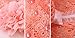Towallmark(TM)1PC Lovely Rhinestone Unusual Angel Baby Pearl Flowers Hairband Headbands (Pink Pearl)