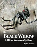 The Black Widow & Other Venomous Spiders
