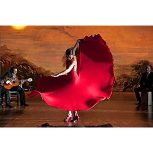 Flamenco Flamenco [Édition Collector]