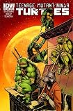 Teenage Mutant Ninja Turtles #3 Dan Duncan Cover
