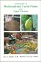 A Field Guide to Medicinal and Useful Plants of the Upper Amazon