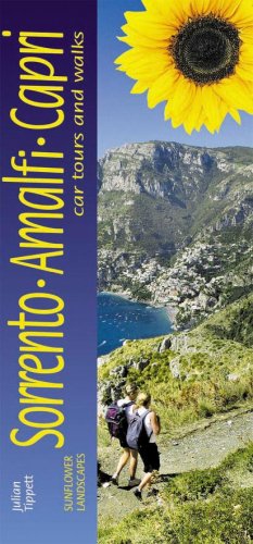 City Travel Guides Discounted  Books : Sorrento, Amalfi Coast and Capri (Landscapes)