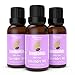 AromaOils Lavender Oil - 1 oz - 100% Pure Therapeutic Grade Scented Essential Oil - Best Now for Relaxation, Sleep, Headache, Migraine Relief, Stress Reduction, Massage Oil