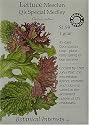 Lettuce Mesclun Seeds