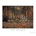 Claude Monet (Jour D Ete) Art Print Poster - 16x20