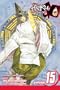 Hikaru no Go, Vol. 15 (Hikaru No Go (Viz Media))
