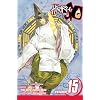 Hikaru no Go, Vol. 15 (Hikaru No Go (Viz Media))