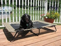 Pet Gear Portable Cot for cats and dogs up to 75-pounds, Moss Green