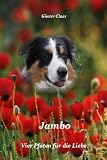 Jambo - Vier Pfoten für die Liebe