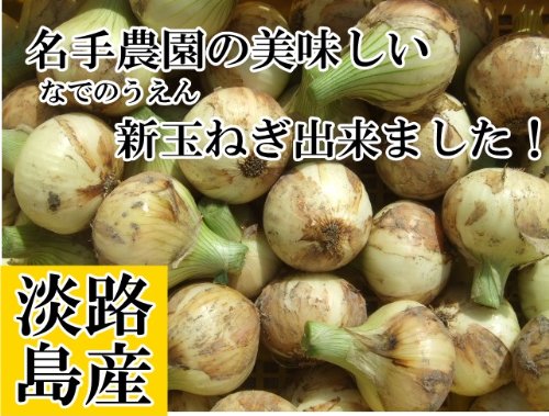 名手農園 淡路島 たまねぎ 2016年産 新たまねぎ家庭用【わけあり】　5kg(20～30個)　期間限定サービス価格で販売中！