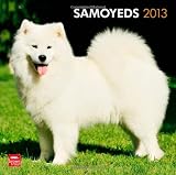 Samoyeds 2013 - Samojeden - Original BrownTrout-Kalender